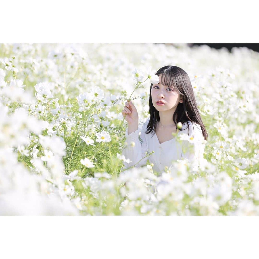 越智萌日さんのインスタグラム写真 - (越智萌日Instagram)「秋の訪れを感じた日🌾 実結(@___mii27 )に久しぶりに会えてたくさん元気もらえた✨ . . . . #万博記念公園  #コスモス　#コスモス畑」10月23日 22時43分 - moeka19990201