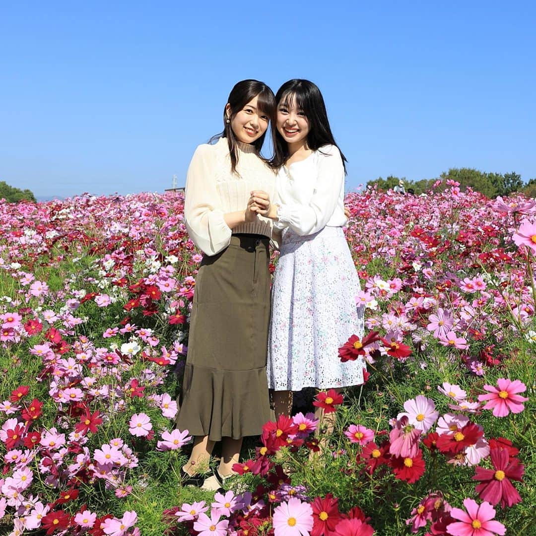 のインスタグラム：「秋の訪れを感じた日🌾 実結(@___mii27 )に久しぶりに会えてたくさん元気もらえた✨ . . . . #万博記念公園  #コスモス　#コスモス畑」