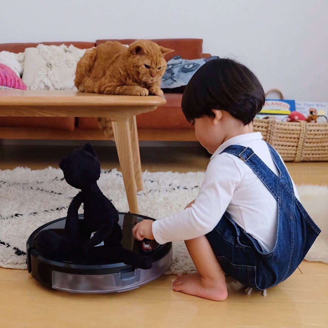 ギネス & ピムスさんのインスタグラム写真 - (ギネス & ピムスInstagram)「23/10/2020 Happy Friday! ・ We now have a robot vacuum! And it even comes with a camera to keep an eye on the cats👀 Have a nice weekend everyone! ・ ・ 初めてのロボット掃除機🤖 毎日慌ただしく過ぎて行くけど ボタンを押すだけで ガンガン掃除してくれるので、 すごく助かります。 我が家は厚めのラグや床置きの籠、 転がっている凪ねこのおもちゃなど 難易度の高いコースが多いのですが笑、 かなり頑張ってくれています👏 しかもこの掃除機の素晴らしい点は カメラ機能が付いているという！（動画②） なので、留守中や違う階にいても カメラで猫たちの様子をチェック出来る🙌 水拭きの機能もあるようなので、 週末にでも試してみようと思います。 ・ 25日まで @roborock.japan のアカウントで プレゼントキャンペーンを行っているそうです。 ご興味ある方は是非。 ・ ひとつ前の投稿で ギネスの誕生日のお祝いコメントや anan読んで下さった方々 どうもありがとうございます！！ ゆっくりお返事させて下さい🐈 それでは皆さま素敵な週末を♬ ・ ・ #ギネピムと凪くん  #1yearold #1歳 #1歳10ヶ月  #babyboy #男の子ベビー #赤ちゃんのいる生活 #赤ちゃんのいる暮らし #赤ちゃんと猫 #猫と赤ちゃん #roborock #ロボロック #ロボロックのある生活 #roborockpr」10月23日 22時48分 - rina_takei