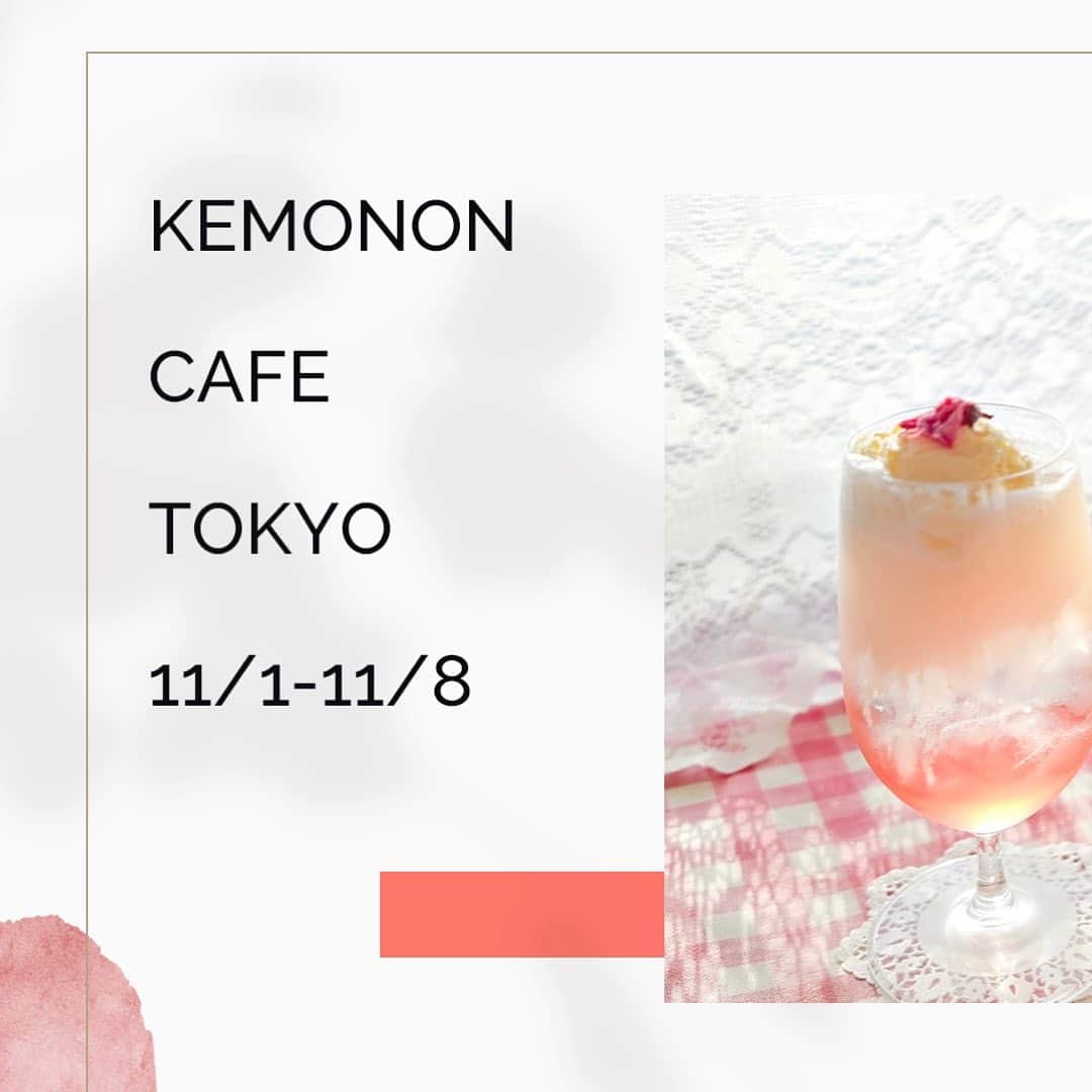 熊乃あいのインスタグラム：「けものんカフェ（東京・六本木） 11/1〜11/8 （11/4休） 12:00-18:00  🍒メニュー 日替りサンドイッチ スイーツ クリームソーダ ドリンク ．  東京都港区六本木3-8-3 ※Googleマップで見るとフランス坂と書かれた階段を登った所にある白い壁のお店になります。（夜はバーの為、営業が異なります）  __________________________  #けものんカフェ#クリームソーダ #限定イベント #鹿カチューシャ #六本木カフェ #六本木グルメ  #隠れ家カフェ #カフェ #カフェ巡り #カフェ好き #カフェ活 #カフェ部 #カフェ大好き #グルメ #東京グルメ #グルメ好きな人と繋がりたい #グルメ女子 #グルメ巡り #グルメ好き #スイーツ #スイーツ巡り #スイーツ女子 #東京カフェ #東京カフェ巡り #東京カフェ部 #cafe」