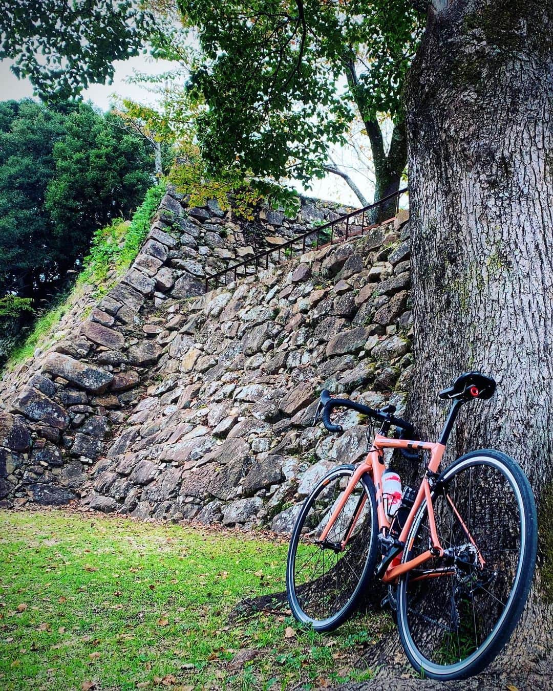 mana___chinのインスタグラム：「🏯いつもの洲本城🏯  程良い登坂が食後に嬉しい🚴🏻 ( いやキツイ )  #ロードバイク #ロードバイクのある風景 #ロングライド #チャリダー #ヒルクライム #サイクリング #アワイチ #キャノンデール #caad13 #cannondale #ridecannondale #roadbike #roadbikelife #roadbike_jp #ロードバイクjp #igcjp #cycling #坂バカ #三熊山 #洲本城 #淡路島 #awajishima」