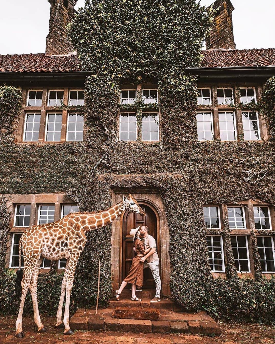 BEAUTIFUL HOTELSさんのインスタグラム写真 - (BEAUTIFUL HOTELSInstagram)「Stay at one of Nairobi's iconic buildings and have the best breakfast of your life surrounded by the world's tallest mammals! 🦒   Giraffe Manor has a herd of Rothschild’s giraffes who visit guests during mornings and evenings, hoping for a treat. Get the best surprise with giraffes gently peeking at the manor's many windows. 🏚️  How precious is this? ✨   📸 @kattrin 📍 @thesafaricollection Giraffe Manor, Nairobi, Kenya」10月23日 23時05分 - beautifulhotels