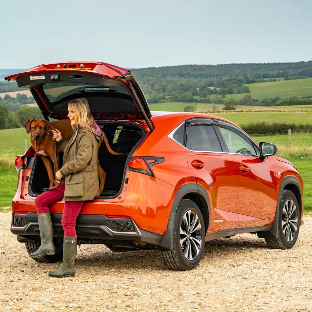 Lexus UKさんのインスタグラム写真 - (Lexus UKInstagram)「A four-legged companion, fresh air and E-four all-wheel drive. The perfect combination. #LexusNX.   #Lexus #DogsofInstagram #CarsofInstagram #CountryPursuits #RhodesianRidgeback #LuxuryTravel #Luxury #Dogs #CountryLiving #CountrysideWalks #RidgebacksofInstagram #Dogstagram」10月24日 0時30分 - lexusuk