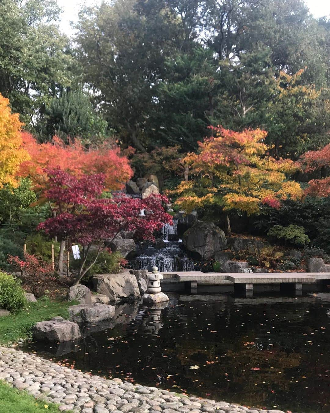 藤井裕史さんのインスタグラム写真 - (藤井裕史Instagram)「Kyoto garden in Kensington #kyoto #japanese #garden #hollandpark」10月24日 0時32分 - hiroshifujii0321