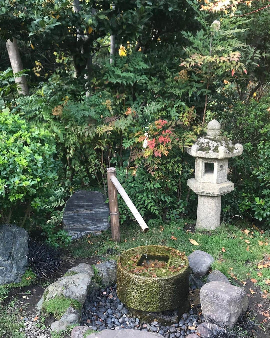 藤井裕史さんのインスタグラム写真 - (藤井裕史Instagram)「Kyoto garden in Kensington #kyoto #japanese #garden #hollandpark」10月24日 0時32分 - hiroshifujii0321