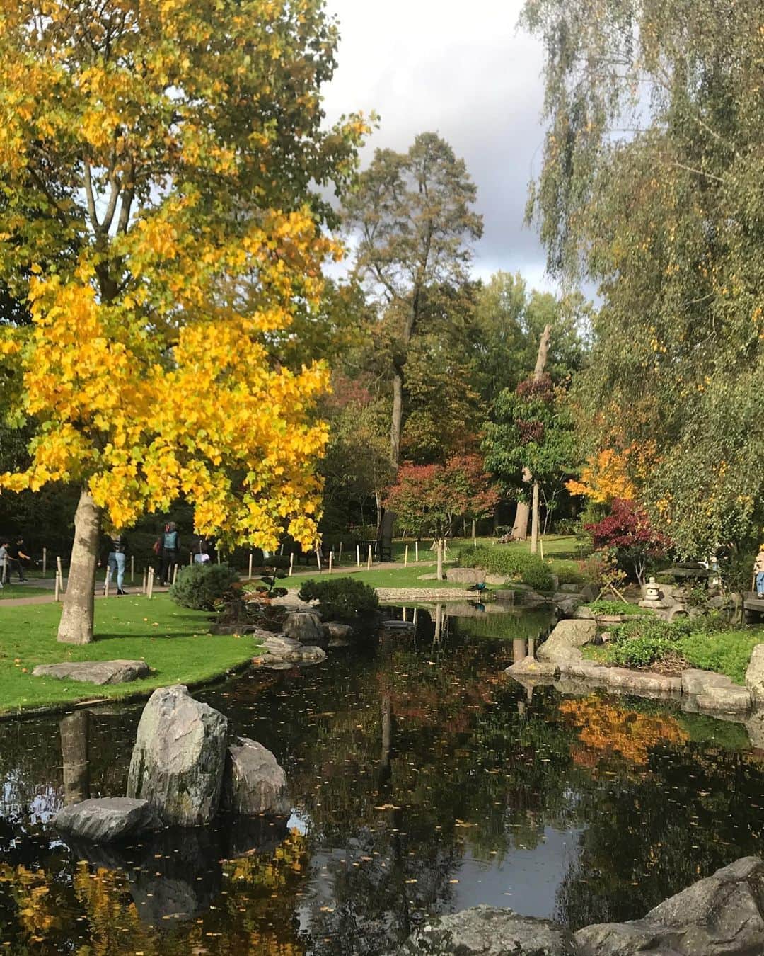 藤井裕史さんのインスタグラム写真 - (藤井裕史Instagram)「Kyoto garden in Kensington #kyoto #japanese #garden #hollandpark」10月24日 0時32分 - hiroshifujii0321