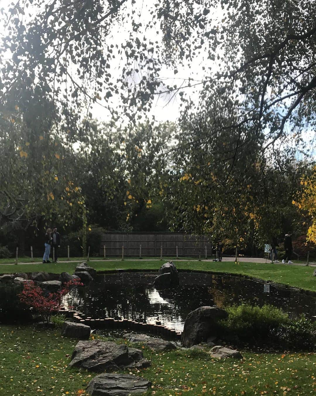藤井裕史のインスタグラム：「Kyoto garden in Kensington #kyoto #japanese #garden #hollandpark」