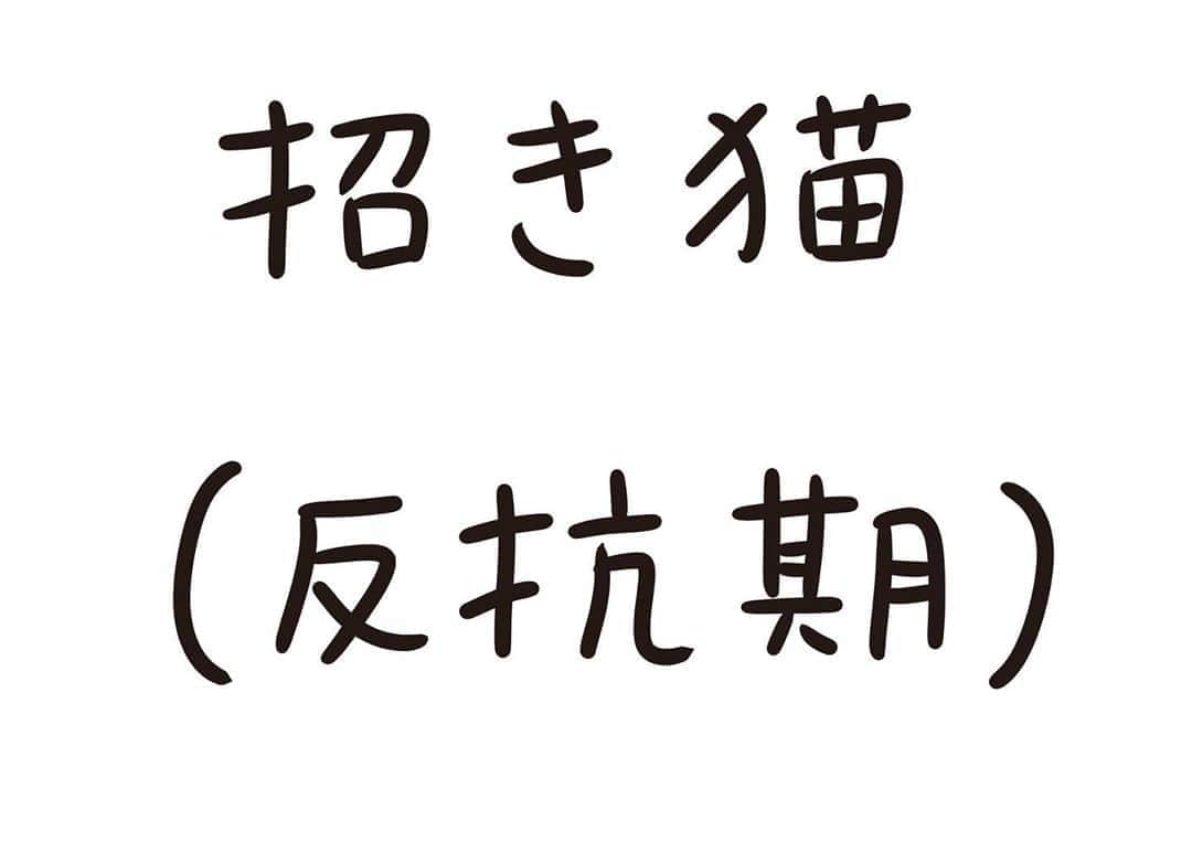 おほしんたろうさんのインスタグラム写真 - (おほしんたろうInstagram)「そういう時期あるよね . . . . . #おほまんが #1コマ漫画 #マンガ #インスタ漫画 #招き猫」10月24日 0時43分 - ohoshintaro