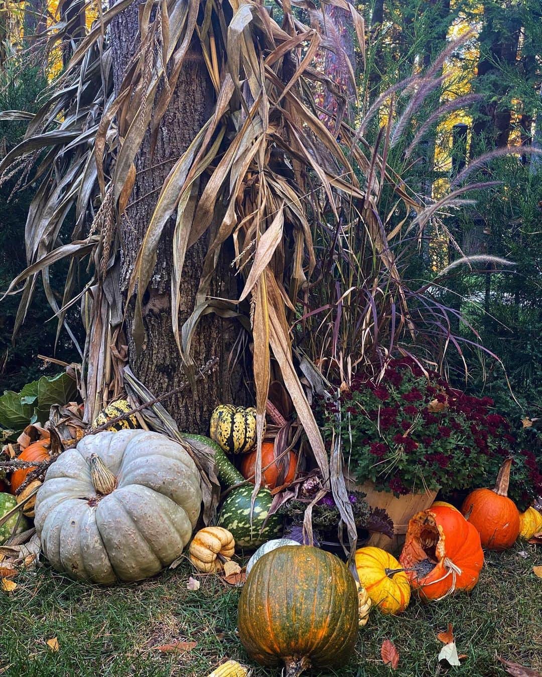 レイチェル・レイさんのインスタグラム写真 - (レイチェル・レイInstagram)「Another gourd-geous week in upstate New York 🍁🍂」10月24日 2時20分 - rachaelray