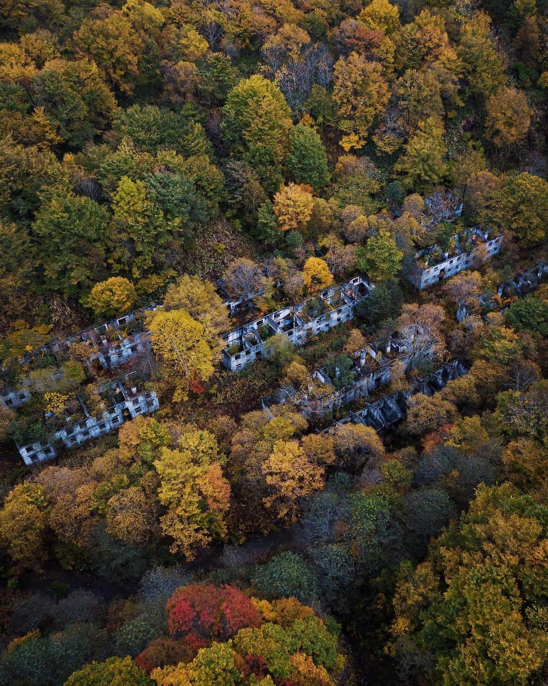 啝 （わ）のインスタグラム：「Autumnal scenery 𓆲 𓆲 𓆲 #droneoftheday #djimavicpro #djiglobal #drone #dronephotography #dronestagram #dji #topdronephotos #fromwhereidrone #wedroneasia #droneosoar #skyhilife  #japan_urbex #JJ_URBEX #made_in_decay #kf_urbandonedmasks #KINGS_ABANDONED #m3xtures #Meistershots #moodygrams #nature_takes_over #natures_reclaim #ominous_perfection #pr0ject_uno #rsa_preciousjunk #savethedecay #sfx_decay」