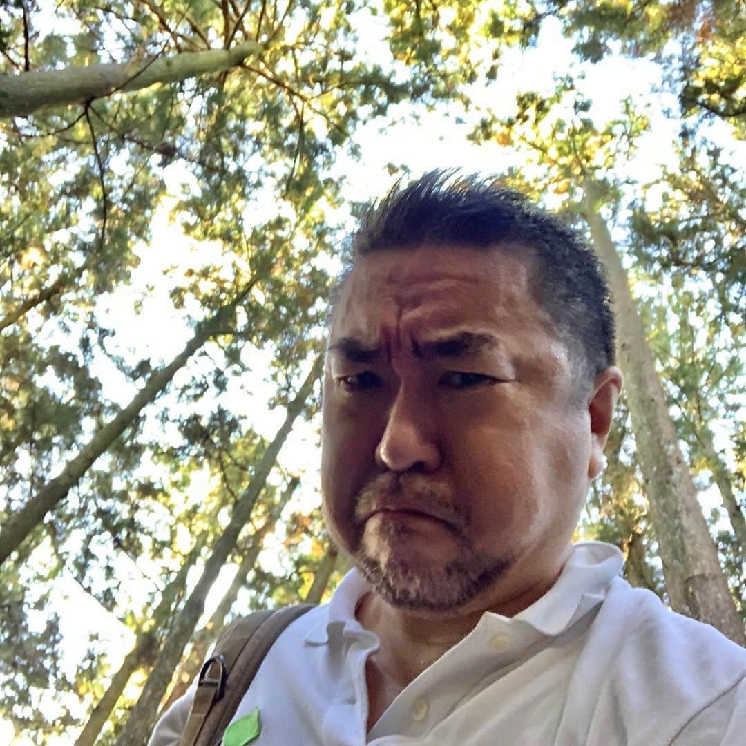 のインスタグラム：「ぼく自身は大丈夫なんですけど、この数週間、身内が幾人も、なんだかたいへんな目に遭っているので、代わりにお詣りをと、ふと思いついて、新幹線とローカル線とバスを乗り継ぎ、天狗がいるという大雄山の道了尊に来ました。母が「ここに来れば何とかなる」と、昔から謎めいたことを言っているので、ぼくもそれに倣って。で、登山のような激しい階段を登って、天狗の皆さんに無事を願い、帰路、一緒に記念撮影をしましょうと誘ったんだけど、シャイみたいで写ってくれなかった。これは天狗ではありません。そういえば以前、母とここに来て、静岡に向かおうと小田原から新幹線に飛び乗ったら、名古屋までノンストップで（小田原に停まるのに静岡に停まらない新幹線って？！）、名古屋駅の新幹線ホームできしめんを食べてトンボ帰りしたことがあります。」
