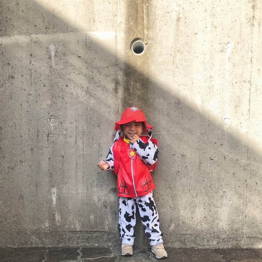 のインスタグラム：「今日はスクールのHalloween party🎃 だったのでどハマり中のパウパトロールに変身🐶  はっぴーはろうぃん👻🍭  #パウパトロール #マーシャル #3歳男の子  #男の子ベビー #男の子ママ  #2歳差兄弟  #2歳差育児  #福岡ママ #ハロウィンパーティー」