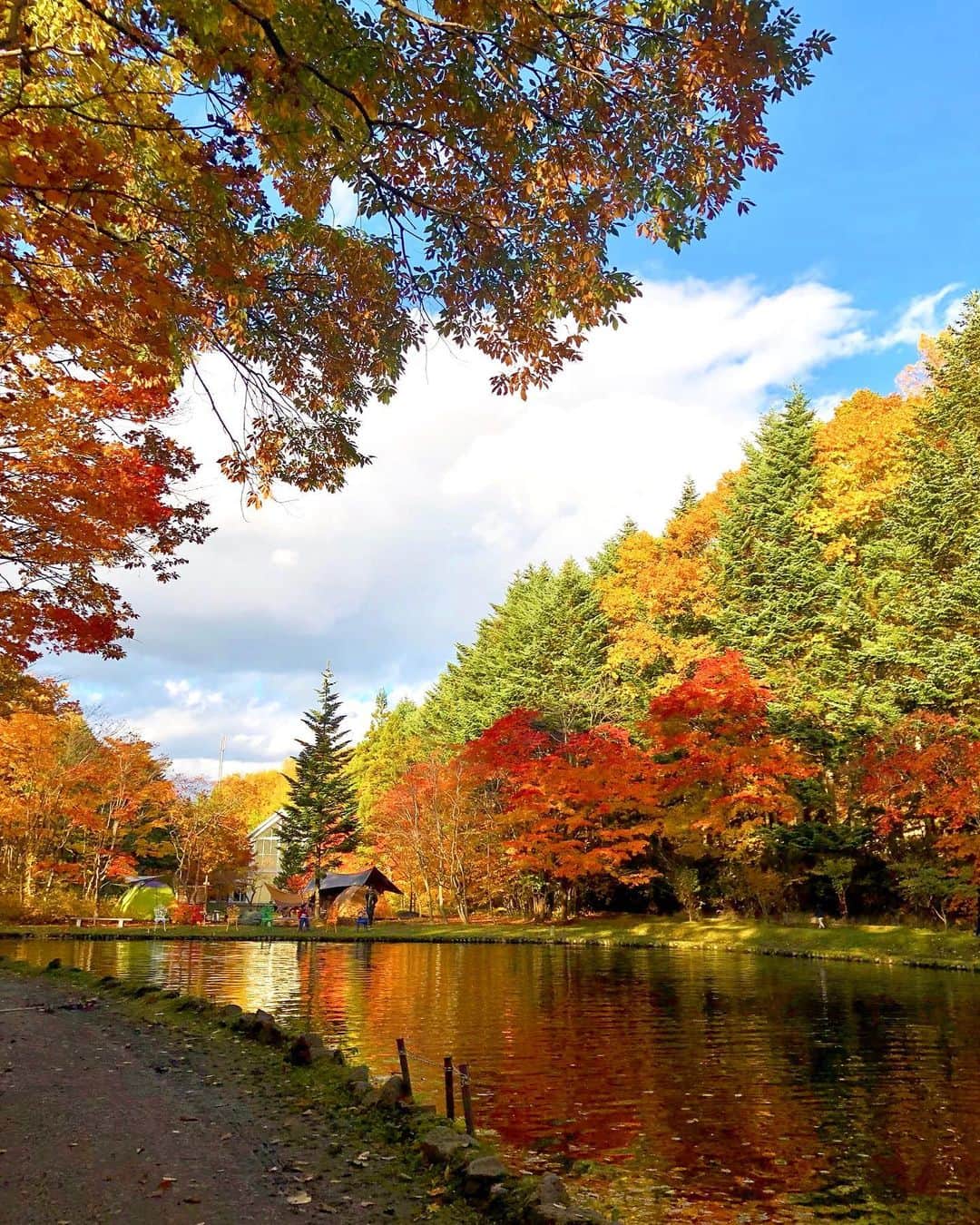 HBC北海道放送アナウンス部のグルメインスタ