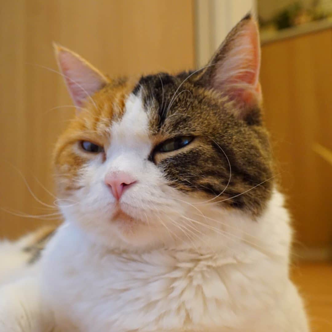 みかんのインスタグラム