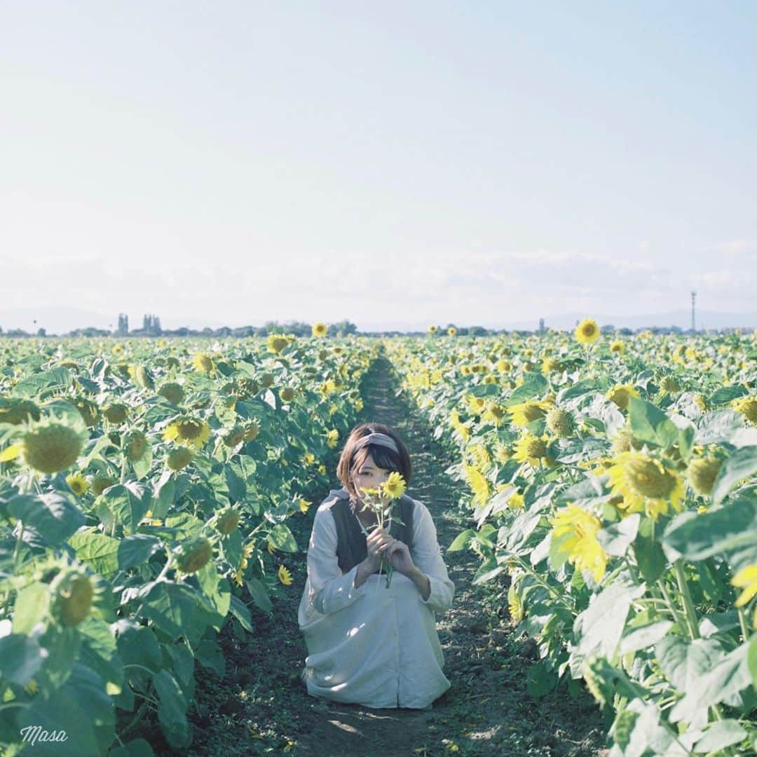 Masaさんのインスタグラム写真 - (MasaInstagram)「. . . . ▶︎▶︎▶︎ Swipe . 10月のひまわり🌻 . コメクロで🚪 . . 撮影日 : 2020年10月6日 . #まっセル #ヤマプリ #hasselblad #ハッセルブラッド  #instagramjapan #igersjp #team_jp_  #tokyocameraclub #GPW_members_only  #good_portraits_world #art_of_japan_ #photogenic_jp #film_jp #film #フィルム #film_com #filmcamera #filmphotography #portrait #ポートレート #photogram_archive #todays_blue_collection #team_jp_ #滋賀 #shiga #花 #flower #ひまわり #sunflower」10月24日 7時42分 - masa_nikonist