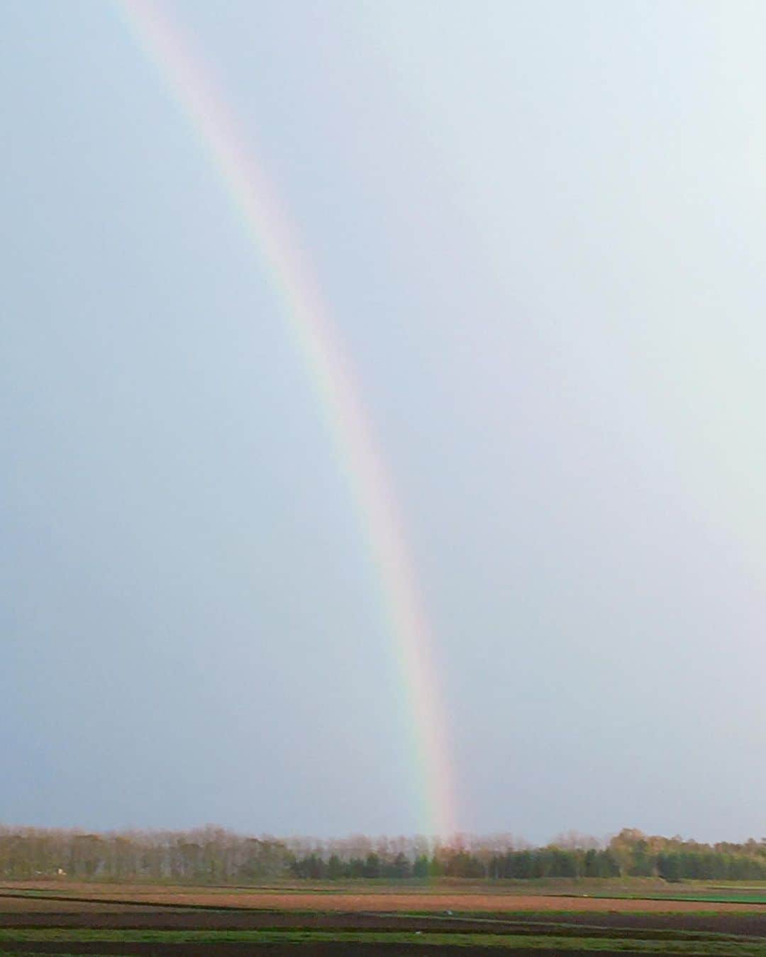 月城すみれさんのインスタグラム写真 - (月城すみれInstagram)「おはようございます🌞 昨日は雨の中、無事ミッションクリア✌🏻 ちょっと運転しずらいな～と思ってたけど 帰り道に虹を発見したよ～🌈 しかも虹の根元が見えた❤️ 虹の根元を見付けたら幸せになれる(いいことがある)らしいよ…🌈🌈 写真でhappyおすそ分け…🤲🏻💕 . 今日は凛に出勤しまーす🌼 土曜日！よろしくお願いします🧡 .  #月城すみれ #バルセロナ #バルセロナグループ #barcelona #ラウンジ凛 #キャバクラ #ニュークラブ #ホステス #飲み屋 #キャバ嬢 #シャンパン #北海道 #札幌 #さっぽろ #すすきの #ススキノ #歌舞伎町 #六本木 #北新地 #錦 #中洲 #可愛い #いいね返し #自撮り  #虹#虹の根元#happy#followme #likeforlikes #followforfollow」10月24日 8時52分 - rin_tsukishiro.sumire