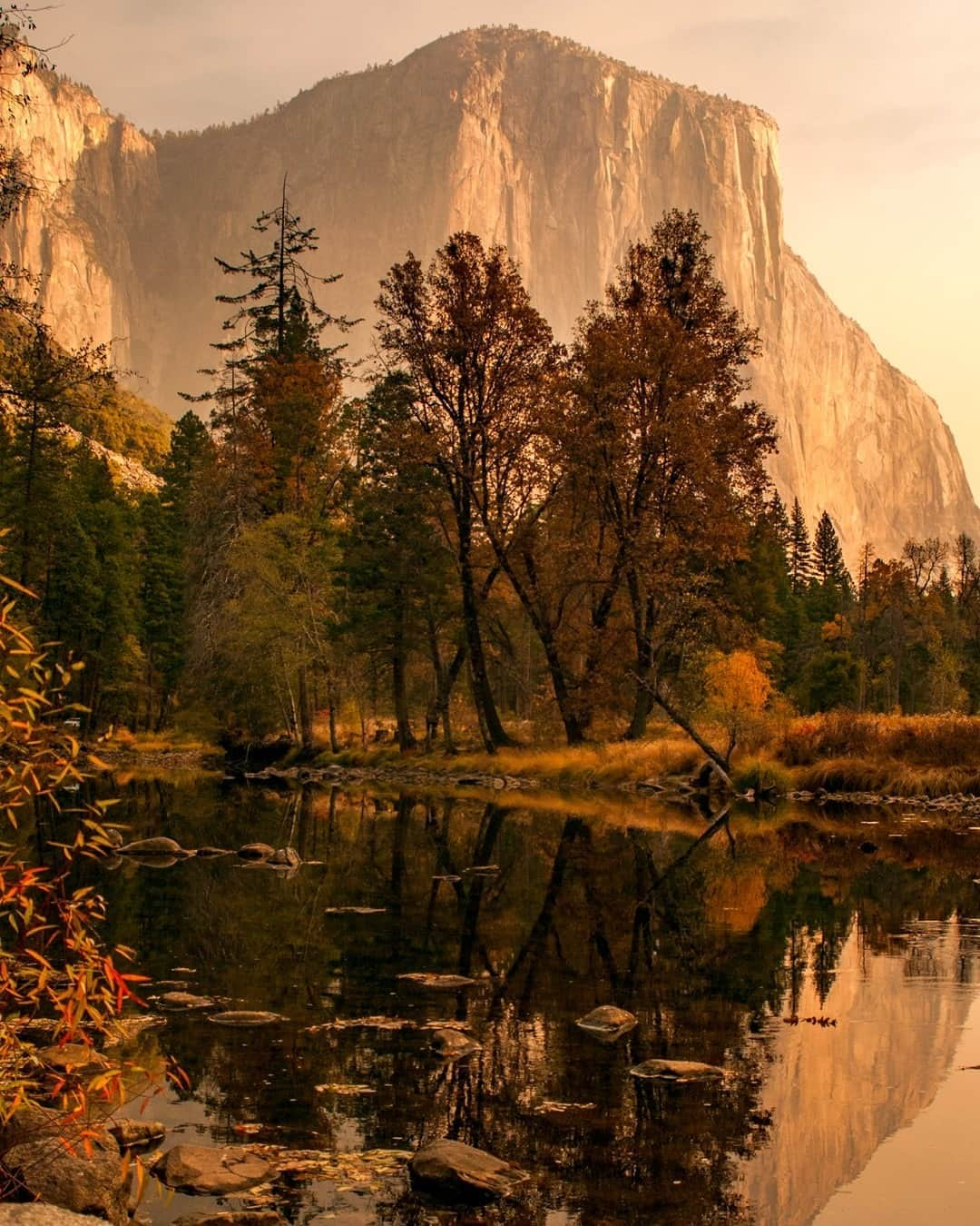 アメリカ内務省さんのインスタグラム写真 - (アメリカ内務省Instagram)「Famous around the world, Yosemite #NationalPark in #California is synonymous with natural beauty. Surrounded by a vast wilderness of mountains, forests and lakes, the heart of the park is the iconic #Yosemite Valley. Framed by towering granite cliffs festooned with shimmering waterfalls, the valley looks incredible under a bright sun or sparkling starlight, from dawn to dusk and back again. And every season is a chance to discover its wonder all over again. This is a place that once seen, will always be with you. Photo @YosemiteNPS by Sarah Foster (www.sharetheexperience.org). #usinterior」10月24日 9時05分 - usinterior