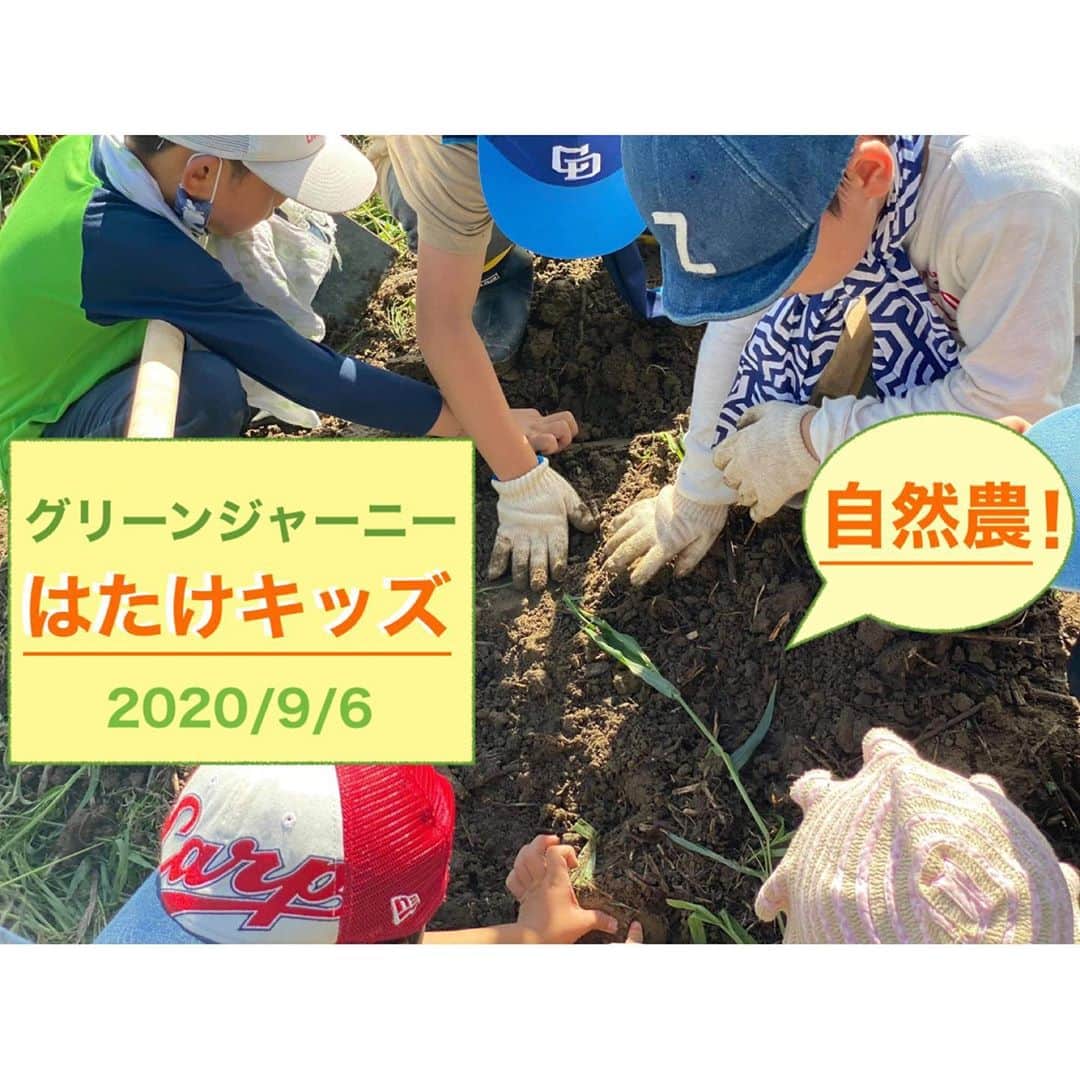 空木マイカのインスタグラム