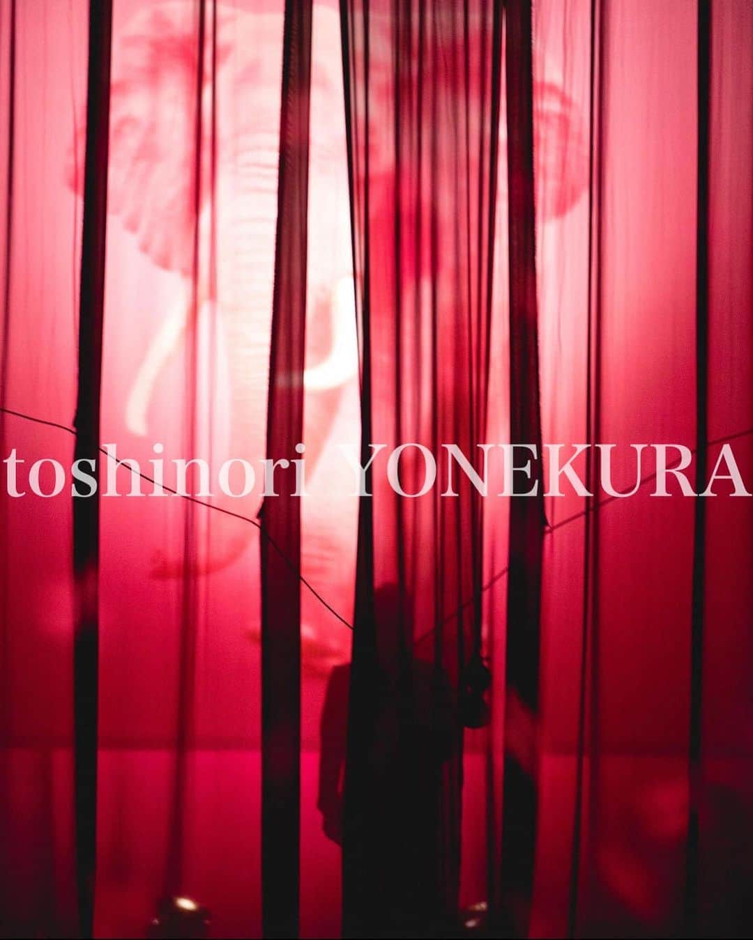 米倉利紀さんのインスタグラム写真 - (米倉利紀Instagram)「pink ELEPHANT -WE ARE BACK @ ZEPP SAPPORO: TOMORROW, 2020. 10. 25. (SUN) door open: 15:45 / show start: 16:30  photo by tomoki ino」10月24日 9時31分 - toshi_yonekura