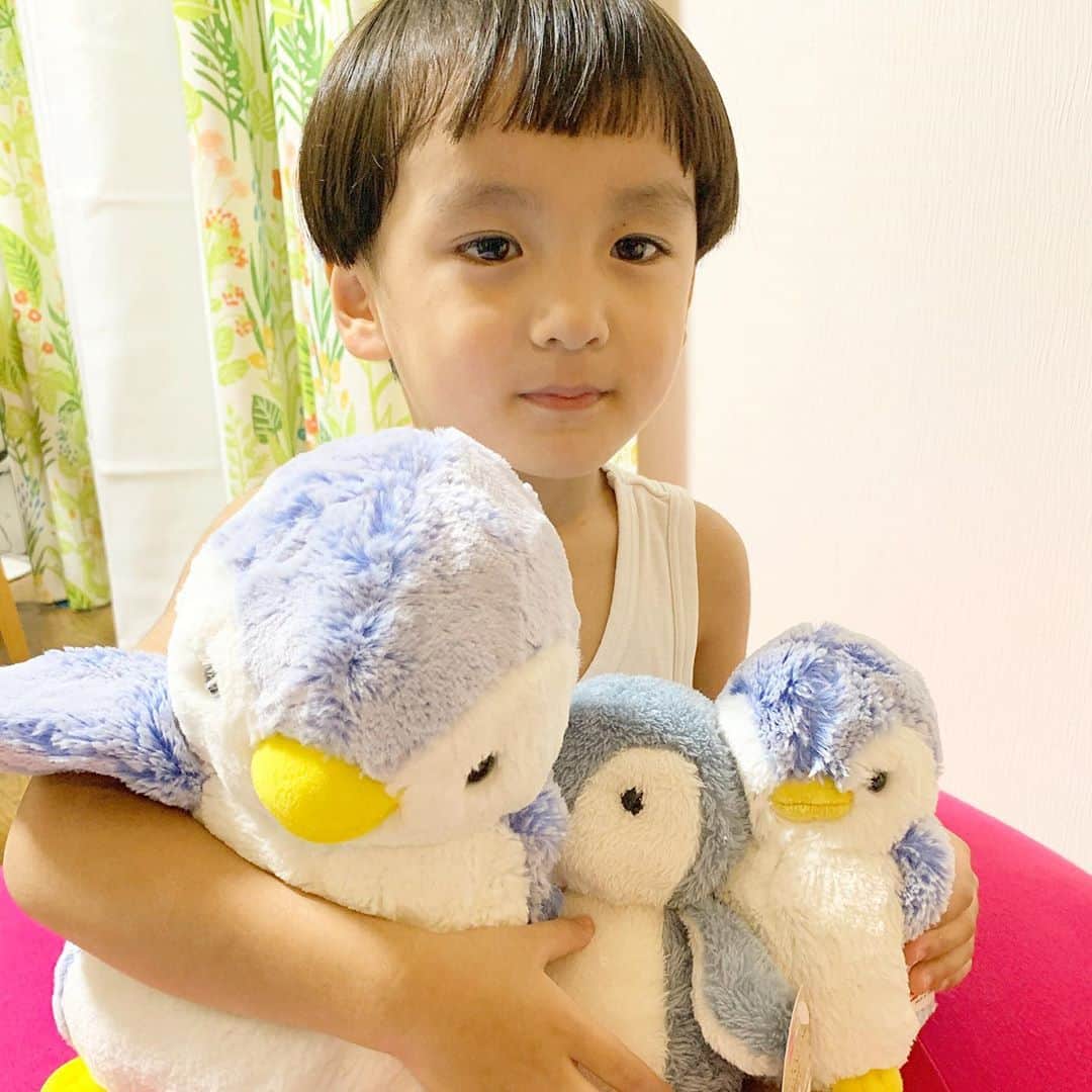 山口尚美のインスタグラム：「電車以外だとペンギンが好き🐧🚃 #似てるからね #お姉ちゃんの影響 🧸」
