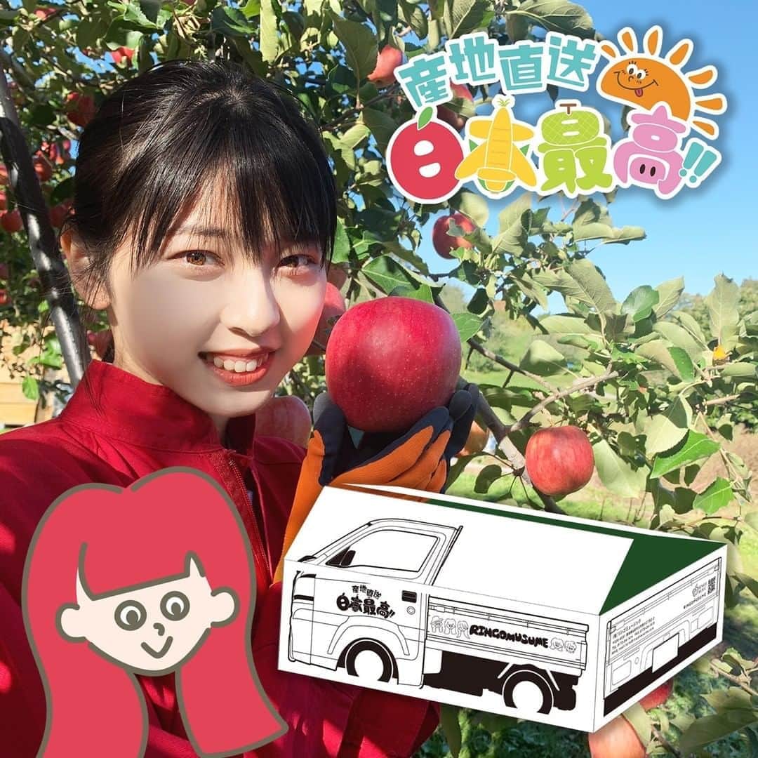 のインスタグラム：「. 🍎お知らせ🍏 RINGOMUSUMEが実際にお手伝いして収穫したりんごの販売企画第3弾。今回はジョナゴールドを収穫しました!! 本日24日15:00よりオフィシャルWEBSHOPにて販売開始します🍎  【販売価格】 1箱 5,500円（税別） ※送料は一律別途発生します ※購入はおひとりさま1ケースのみとさせていただきます ※1箱8玉入り ※ジョナゴールドは有袋になります ※ご注文頂いてから、発送まで数日お時間を頂きます。発送が完了したら、BASEよりご指定のメールアドレスへ通知がいきます ※配送業者様は、クロネコヤマト様となっております  【購入特典】 『RINGOMUSUMEの産地直送 日本最高!!』のロケオフショット ブロマイド サイン入り（写真はLサイズランダム３枚入り）、RINGOMUSUMEオリジナル段ボールに入れてりんごを産地直送します！  #RINGOMUSUME #りんご娘 #産地直送日本最高 #ジョナゴールド」