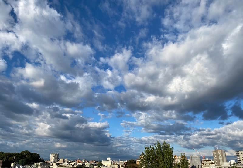 市川海老蔵 （11代目）さんのインスタグラム写真 - (市川海老蔵 （11代目）Instagram)「The morning sky.  Clouds are low today.  Amazing. * 朝の空。  今日は雲が 低いですね。  圧巻です。  #市川海老蔵 #海老蔵 #成田屋 #歌舞伎  #和 #日本文化 #ABKAI #ABMORI #ebizoichikawa #ebizo #kabuki #kabukiza #thunderparty #ebizotv #theater #theaterarts #actor #japan #classic  #kabukiactor」10月24日 10時59分 - ebizoichikawa.ebizoichikawa