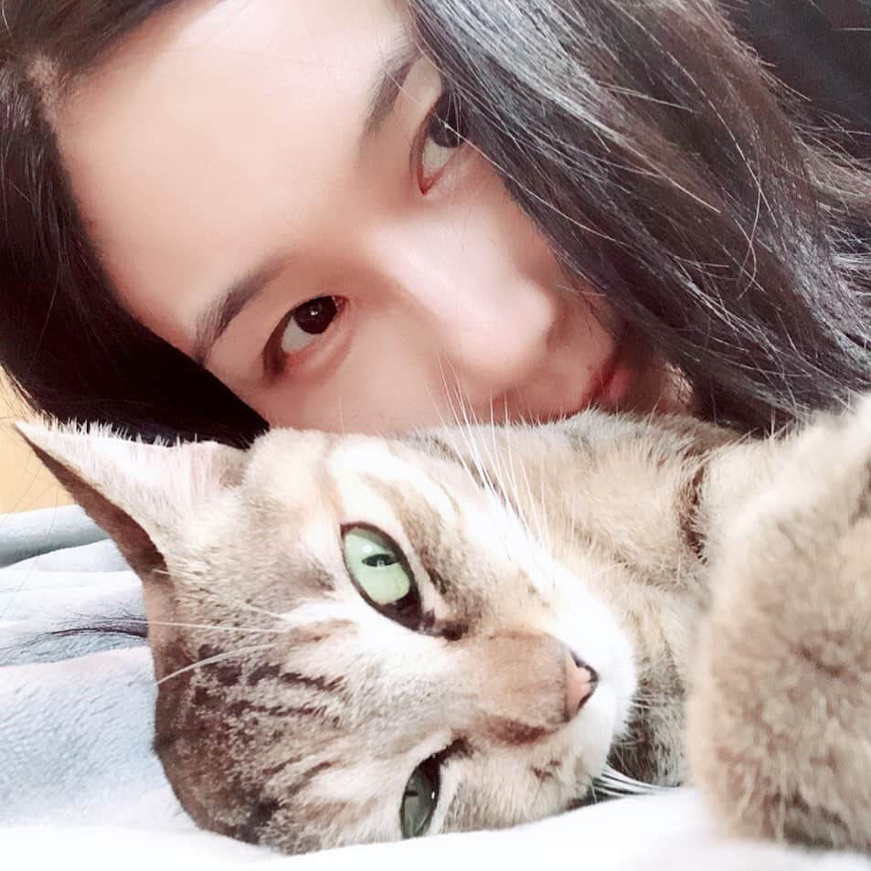 黒猫さんのインスタグラム写真 - (黒猫Instagram)「皆さん、たくさんのコメントをありがとうございます🍀 秋も深まり、寒い日も多くなってきましたが、あたたかい日差しのように心に染み渡りました✨ 大変な時ではありますが、どうか皆さんも季節を感じながら穏やかにお過ごしになれますように…🍁 近ごろ私は栗ごはんが恋しいです🌰 皆さんは何か美味しいものを召し上がりましたか❓ 秋を満喫しつつよい週末をお過ごしくださいね🥰 It’s very autumnal today🍁✨ Have a nice weekend guys❣️💕 #陰陽座 #onmyouza」10月24日 11時08分 - kuroneko_omz