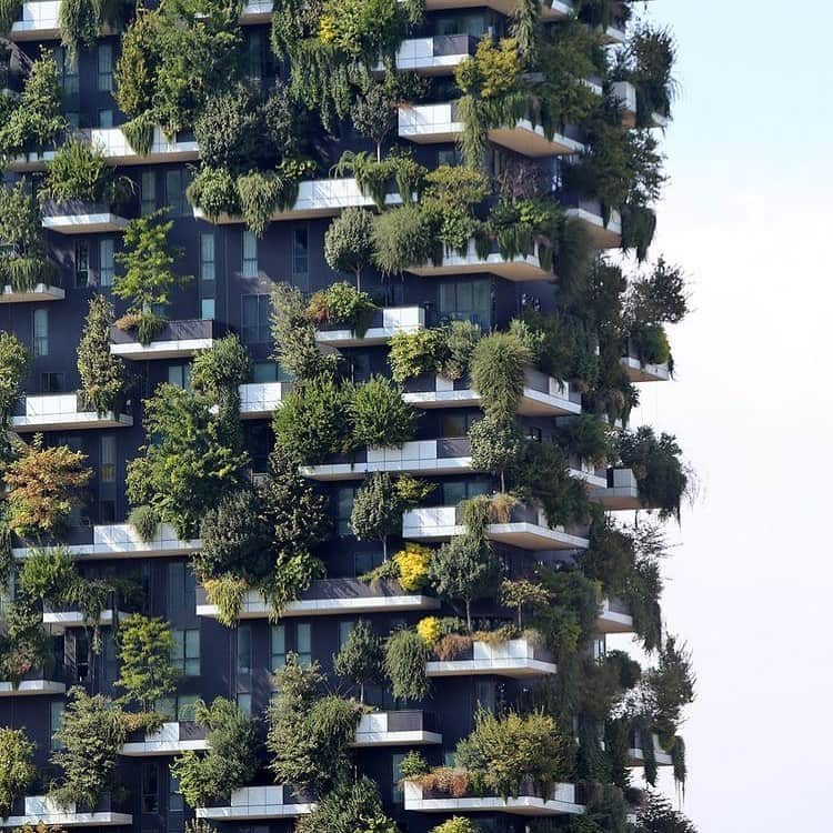 ロンハーマンさんのインスタグラム写真 - (ロンハーマンInstagram)「Vertical Gardens by Architecture Stefano Boeri in Milan, Italy. #inspiration」10月24日 11時05分 - ronhermanstore