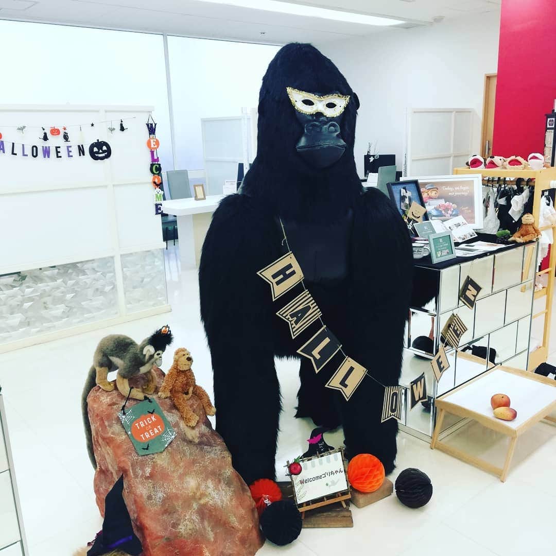 deuxzero デゼーロさんのインスタグラム写真 - (deuxzero デゼーロInstagram)「まもなくHAPPYハロウィン🎃 ですね。 デゼーロ、Weddingサロンも楽しくワクワクして頂けるようなコーディネートに期間限定✨変身中✨です。  プロデューサーブログでは、ハロウィン限定🎃SPECIALスイーツもご紹介♫ ぜひ、ホームページをご覧くださいね☆  #デゼーロ結婚式 #神戸結婚式 #神戸おしゃれウェディング #人気ウェディング #ハロウィンスイーツ #ハロウィンコーディネート #プレ花嫁と繋がりたい」10月24日 11時17分 - deuxzero_kobe_wedding