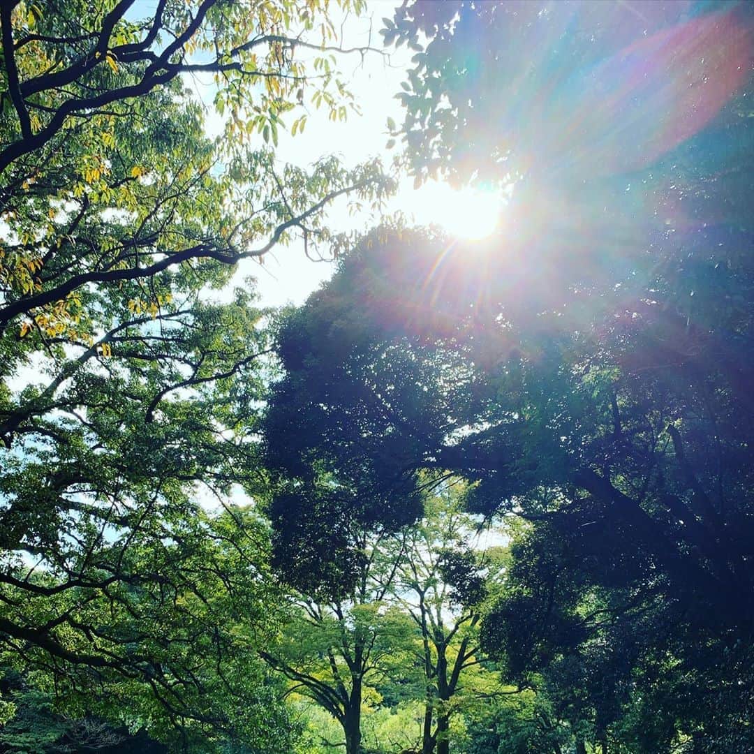 黒沢薫さんのインスタグラム写真 - (黒沢薫Instagram)「ジョギング中の風景。 #workout #run #lsd #instaview #sunshine #lovelife  #スポーツの秋」10月24日 11時27分 - kaorukurosawa_lovelife