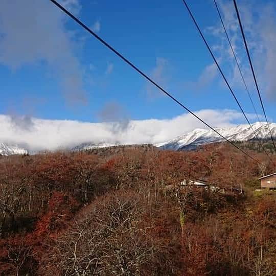 栂池高原スキー場さんのインスタグラム写真 - (栂池高原スキー場Instagram)「おはようございます。  今朝の栂池高原は、気温6.6℃。 雲を抜けたら絶景が拡がってました。 紅葉と白くなった山々のコントラストが 素晴らしい美しさです。  WOW駅周辺ではイベントも開催します。 是非、お越しください。  https://www.tsugaike.gr.jp/  #栂池高原 #栂池 #栂池自然園  #観光地 #長野 #トレッキング #ハイキング #秋のスキー場 #tsugaike #tsugaikekogen #hakuba #otari #hakubavalley #trecking #hiking #山好きな人と繋がりたい #冠雪 #白馬三山」10月24日 11時29分 - tsugaike_kogen