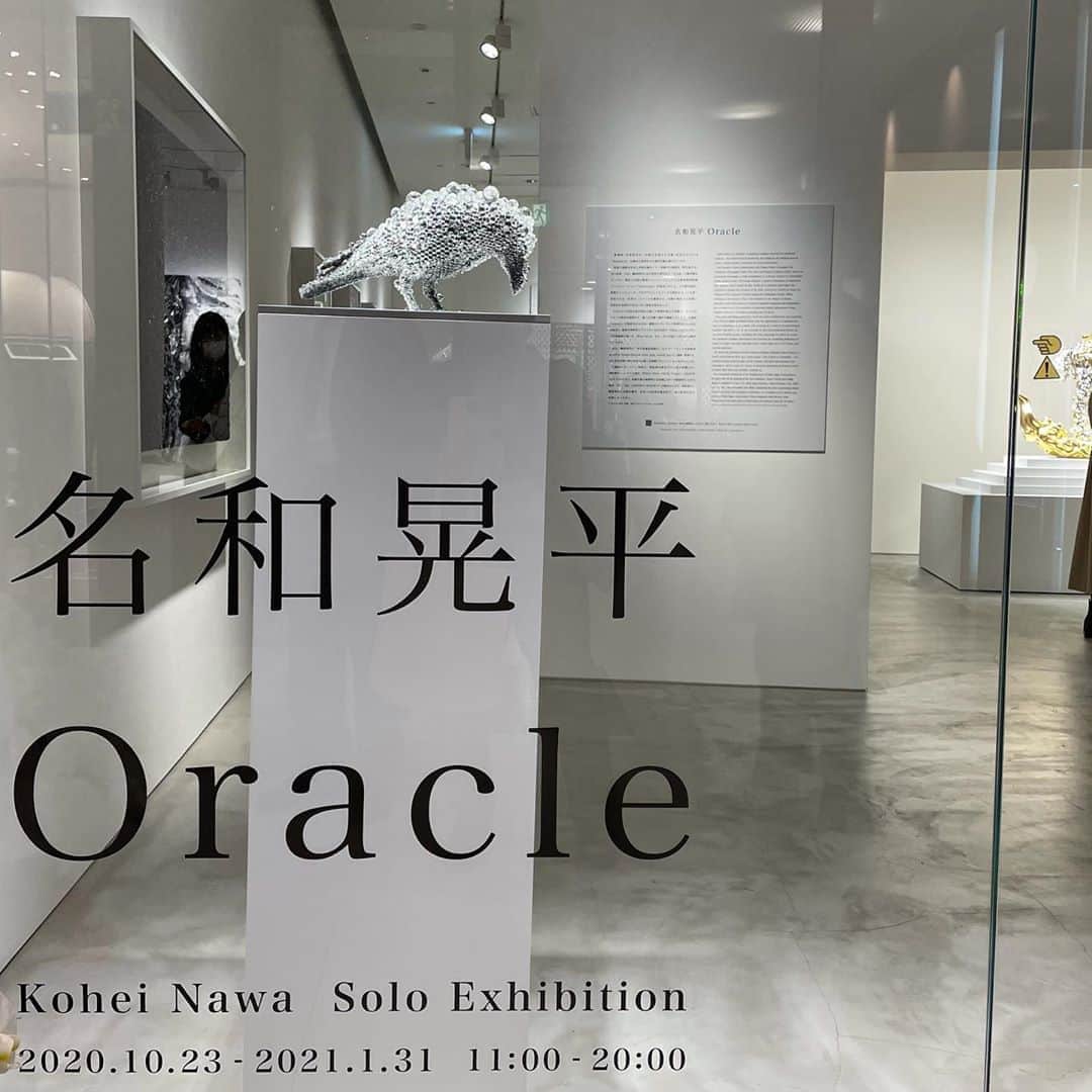 林信行さんのインスタグラム写真 - (林信行Instagram)「世界にその名を轟かせた名和晃平。 その完成したばかりの新作が20点集められた必見の個展  Oracle ― 20 works, all made in 2020. A MUST-SEE solo exhibition by Koehei Nawa  アートに詳しくない人でもNew Yorkのメトロポリタン美術館の名は聞いたことがあるだろう。その日本美術のキュレーター、ジョン・カーペンター氏とは個人的に親しいが、彼に初めて展示を案内してもらった時、「日本美術コレクションで一番人気はやはりコレ」と指したのが名和晃平さんのPixCell-Deerだった。  アートに疎い人でもパリのルーヴル美術館を知らない人はいないだろう。一昨年、そのルーヴル美術館の中央、ガラスのピラミッドに、まるでパリの新しいシンボルかのようなAI時代をテーマにした「Throne」という作品を展示。人気で期間が何度か延長されたのも名和晃平さんだ。 鎮座100年目の明治神宮に新しくできた明治神宮ミュージアム。その入り口に飾られた大きな白い鹿の作品、White Deer。これまた名和晃平さん。 名和晃平さんは間違いなく、日本を代表する若手現代アート作家の筆頭だ。  世界で引っ張りだこの名和さんも、このコロナ禍では日本で過ごす時間が増えたという。それがきっかけでとりくんだ意欲的新作が大集結したのがGYRE Galleryで始まった個展「Oracle」。  展覧会のシンボルとなっている作品「Trans-Sacred Deer」は神鹿の彫刻。 鹿に乗って鹿島から春日へと向かった武甕槌命（たけみかづちのみこと）の伝説に基づく「春日神鹿舎利厨子（かすがしんろくしゃりずし）」の像。名和さんは鎌倉ー南北朝時代に製作された像がお気に入りで、それをモチーフに３Dシステム上でデータを制作し、木彫、漆塗り、箔押しなど京都の伝統的技法で仕上げたというが、神鹿自体も雲のような造形でより神秘的になっている。きらびやかさも加わり圧倒的な存在感だ。  今回、この作品を含めプレスツアーで名和さんが１つ１つの作品を紹介してくれた様子を動画で撮影したので、他の作品を含め、私の言葉ではなく名和さん自身の声による生の解説を楽しんでもらえればと思うが、Blue Seedという作品の美しさだけは特筆しておかなければならない（動画の完全版はYouTubeやFacebookに投稿する）。  白濁色のキャンバスに、淡い紫色で線画が描かれた作品なのだが、しばらく眺めていると絵の形が徐々に変わっていく。 　コンピューター映像？と思って額を見直すも電源のようなものは見当たらない。近寄って見ても、デジタル表示の特徴「ピクセル（画素）」も見えない。 　実はこれ紫外線を蓄光できる特殊顔料が塗布された半透過性の板にUVレーザーを照射して描いているという。手をかざしてみると、天井に隠された投影機からのレーザー光が手に写った。 　さっきまで紫色に染まっていた部分が、しばらく時間が経つと、うっすらと色が引いて白に戻っていくが、その間合いがなんとも心地よい。陶酔していつまででも眺めていられる。 　ちなみにUVレーザー光が描いているのは植物の種子や胚珠の断面。個として成長する可能性を持つ種子や胚珠のイメージに、「生命の誕生や存在の儚さ、明滅しながら維持されるシステムとしての永続性」を重ねたのだという。  解説ビデオ中の名和さんのマスクの柄にもなっている作品「Moment」にも圧倒される勢いを感じさせた。15度の角度の線は、針のような筆の下に置かれたキャンバスを動かしてつけられた。あの巨大な作品の繊細な線１本１本を、スタッフたちが掛け声でキャンバスを押して描いている様子を想像すると驚きしか湧いてこない。  展覧会入り口で出迎えるPixCellのカラスの作品、油絵具と油の混合特性で変化を続けるBlack Field、火星の砂丘に天災や疫病も多かった鎌倉時代「方丈記」に描かれた無常観を重ねあわせたドローイングの「Dune」（昨年発表した映像作品「Tornscape」をドローイング化しようとして誕生）など、どれも見応えのある作品ばかり19点がGYRE Galleryを埋めている。  19?冒頭で20と書いていたではないかと思う人もいるかも知れないが、20点目はギャラリーの外、GYREの大きな吹き抜けに展示されている（GYRE GALLERYでは、いつも展示中のアーティストが、この吹き抜けにも作品を展示するのだ）。６つの作品を合わせてつくられた背の高い展示で、できれば地下のHAYから５階までガラスのエレベーターに乗って見るのがオススメの鑑賞法だ。  なお、11/3までと短いが、明治神宮の南神門にも「Ho/Oh」という鳳凰を象った名和晃平作品が展示されている（12月13日までの明治神宮ミュージアムのWhite Deerに加えての展示だ）。併せて見ておけば、海外の名和晃平ファンへのコロナ明けの土産話になる。  名和晃平 （KOHEI NAWA） Oracle GYRE GALLERY  2020.10.23-2021.1.31  (DESIGNARTをはじめとするデザイン、アート関係のイベントが一斉に始まったこの後連投が続きます)」10月24日 11時58分 - nobihaya