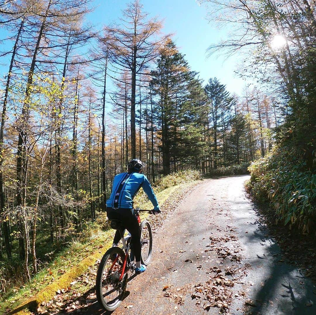 山本幸平さんのインスタグラム写真 - (山本幸平Instagram)「秋晴れ🍁☀️beautiful day #dreamseekermtbracingteam」10月24日 12時12分 - kohey55