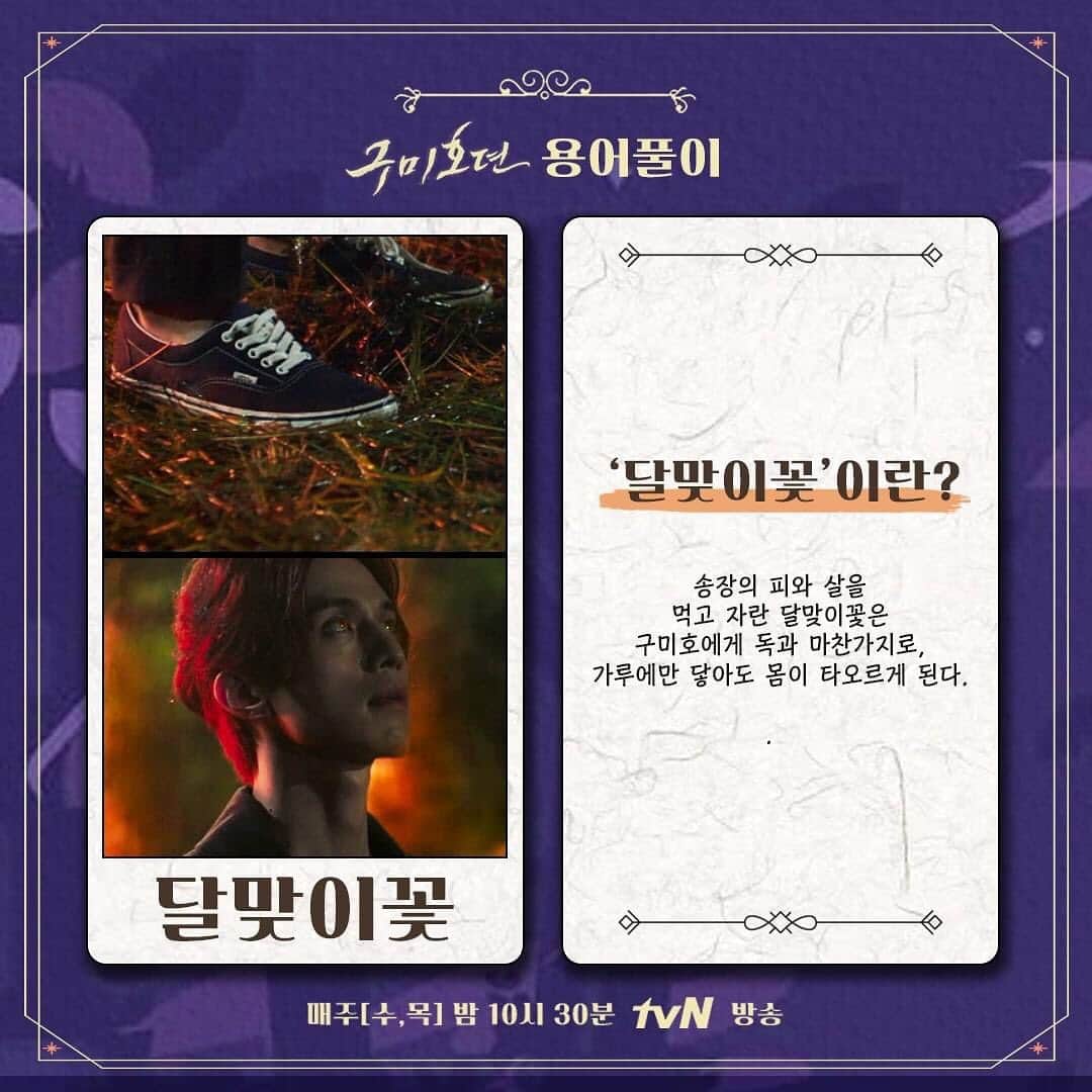 tvN DRAMA【韓国】さんのインスタグラム写真 - (tvN DRAMA【韓国】Instagram)「구미호뎐 용어정리.zip 가져왔다9~~🦊 헷갈리면 고개를 들어 요 용어집을 보시오~>_<  매주 [수,목]  밤 10시 30분 방송 #tvN #수목드라마 #구미호뎐 #taleoftheninetailed #이동욱 #조보아 #김범」10月24日 12時26分 - tvn_drama