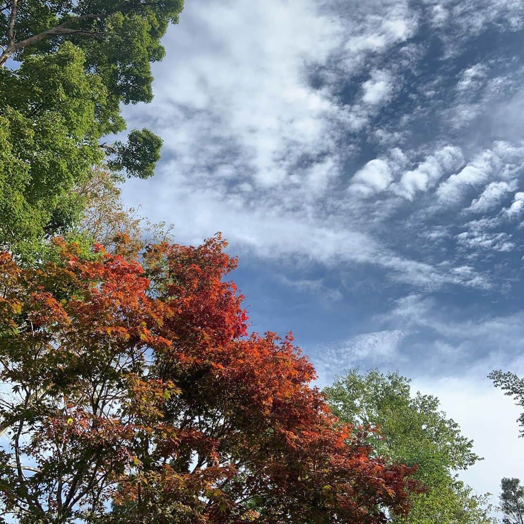 大和田美帆さんのインスタグラム写真 - (大和田美帆Instagram)「秋を探しに。 #ワガコとおでかけ」10月24日 12時50分 - miho_ohwada