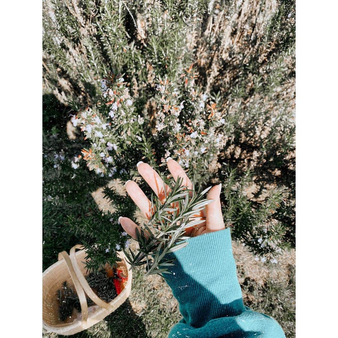 紗栄子のグルメインスタ