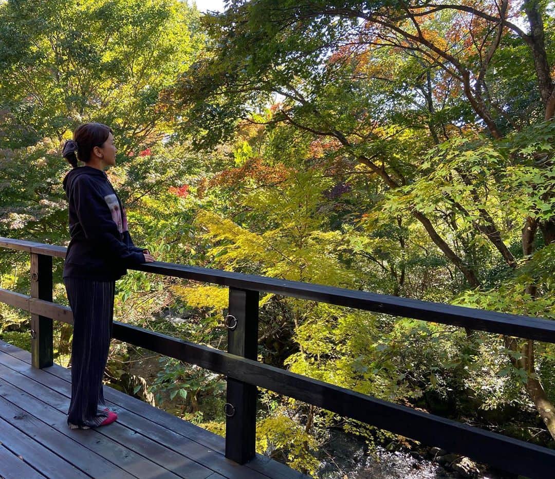 加藤綾菜さんのインスタグラム写真 - (加藤綾菜Instagram)「那須高原にきております❤️ カトちゃんも一緒です。。。✨ 温泉に♨️美味しい食事🍽幸せ。。。💕 #那須高原 #幸せ #癒し」10月24日 13時24分 - katoayana0412