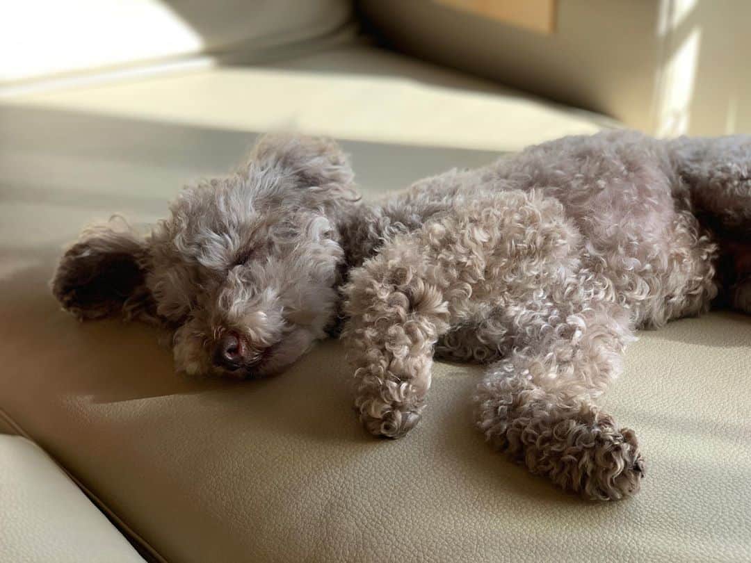 石田ひかりのインスタグラム