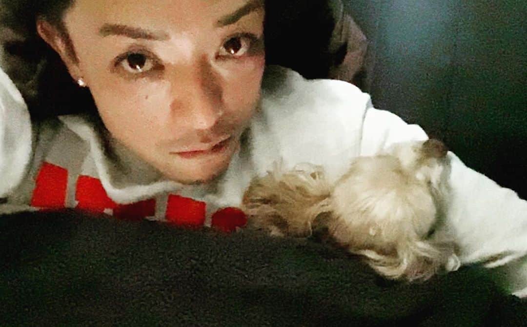 SHU-YAのインスタグラム：「潜り込んでくる🐶 . 最近は腕まくらしてもらって布団かけて寝るの。 そう。私は人間。 女よ！ . とか夢見てるのかな。 . #gm #dog #わんこ #腕まくら  #寝言がうるさい」