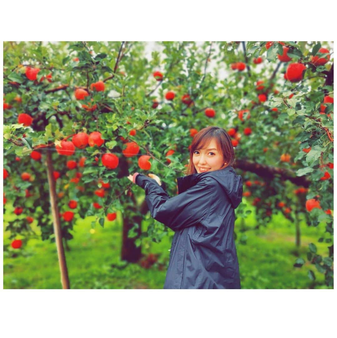 高橋万里恵のインスタグラム