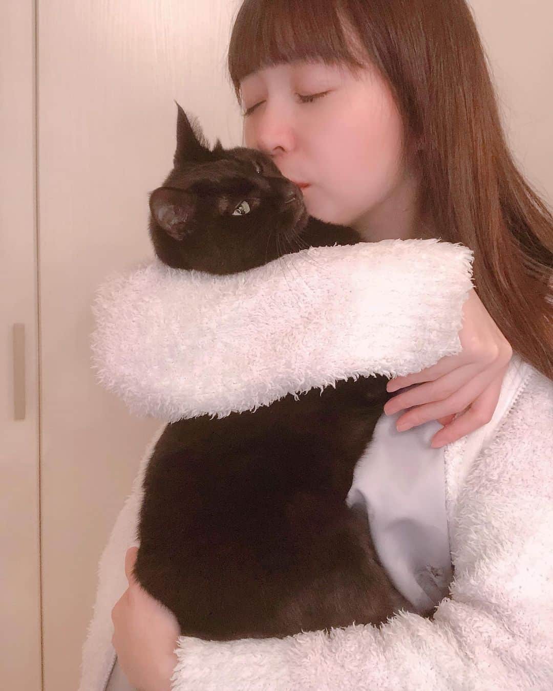 星那美月さんのインスタグラム写真 - (星那美月Instagram)「なんとなく寝れないからルー君と遊んでたのにすっっっっっごい迷惑そうにしてました🐈文句言ってました🐈🐈🐈  #catstagram #cat #黒猫」10月25日 0時58分 - mitsukihoshina