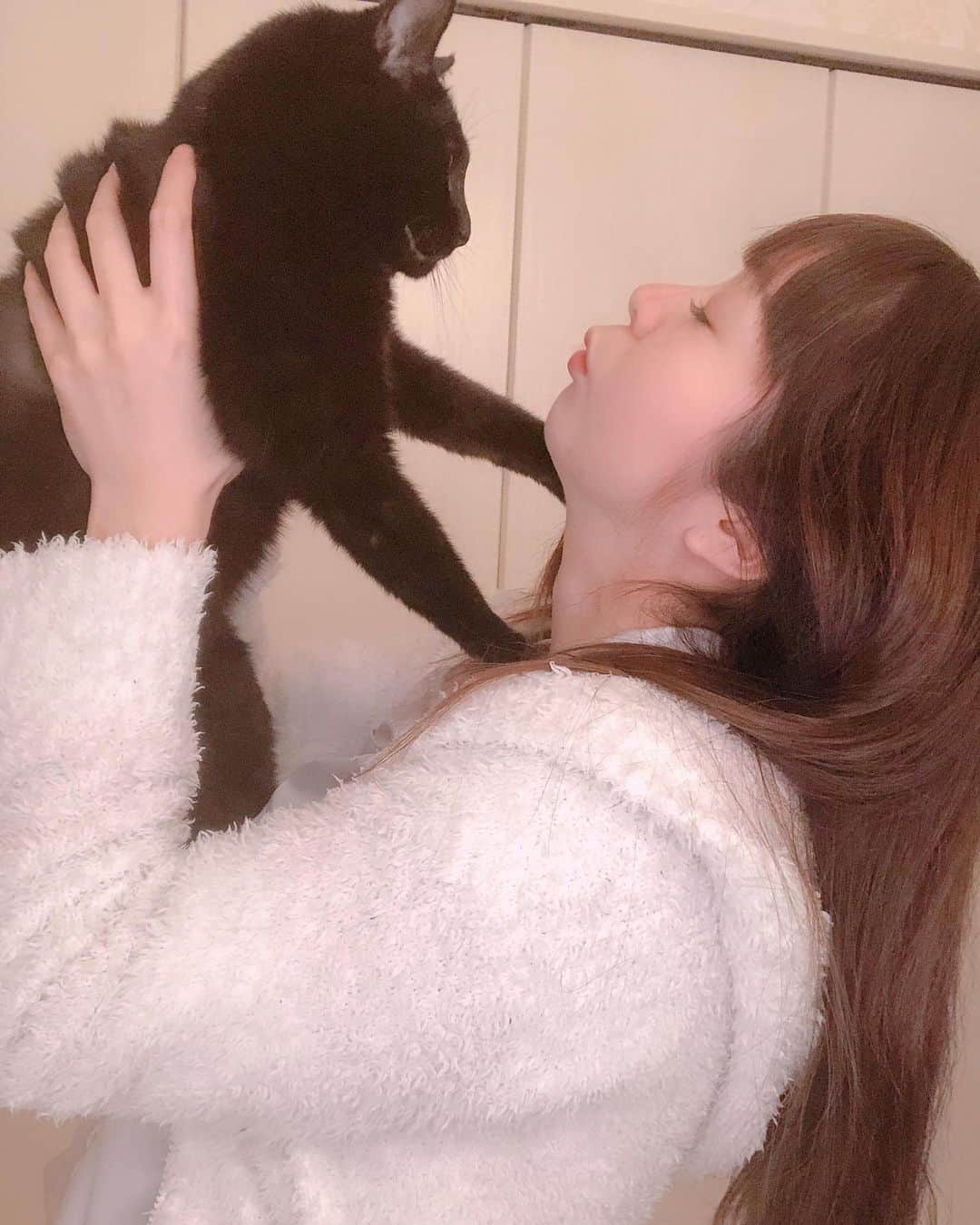 星那美月さんのインスタグラム写真 - (星那美月Instagram)「なんとなく寝れないからルー君と遊んでたのにすっっっっっごい迷惑そうにしてました🐈文句言ってました🐈🐈🐈  #catstagram #cat #黒猫」10月25日 0時58分 - mitsukihoshina