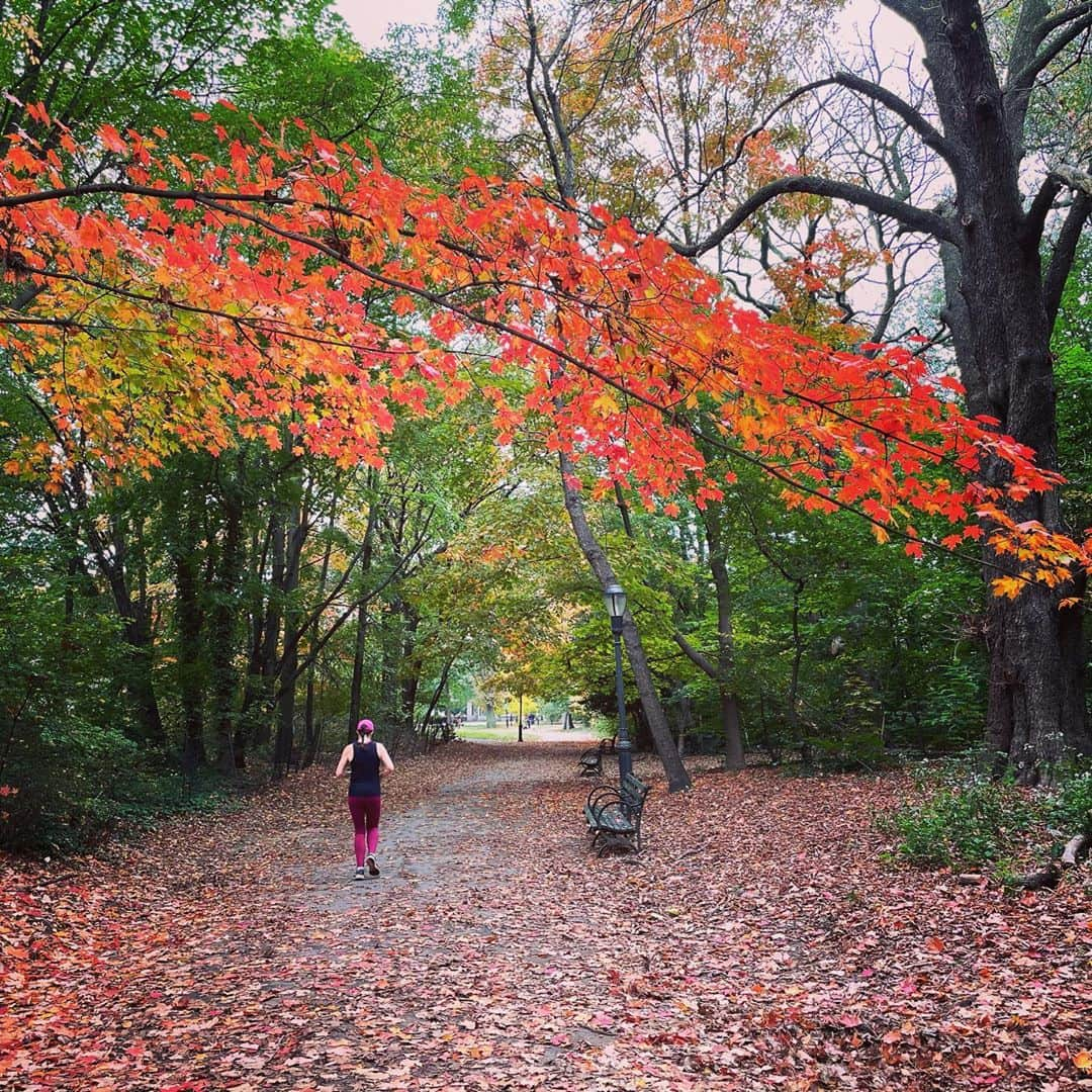 スコット・ローウェルさんのインスタグラム写真 - (スコット・ローウェルInstagram)「Prospect Park. 10.24.20」10月25日 1時18分 - scolo222