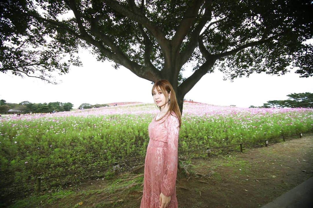 桐谷流華さんのインスタグラム写真 - (桐谷流華Instagram)「I like nature♥️🌱🌱.*･ﾟ　.ﾟ･*.﻿ ﻿ 大好きな自然の中での撮影📸﻿ ﻿ 楽しかった〜✨( *´꒳`* )﻿ ﻿ 森林浴しながらウォーキングするのが趣味のひとつ🚶‍♀️🌲🥰﻿ ﻿ ﻿ ＊﻿ ﻿ ﻿ 11/13(金)プルクラ✨東京イルミネーション撮影会📷﻿ ﻿ 出演予定⭐﻿ ﻿ また予約スタートしたら告知します😻﻿ ﻿ ＊ ﻿  #ひたち海浜公園と私 #桐谷流華 #rukakiritani #ファインダー越しの私の世界 #カメラマンさんと繋がりたい #撮影会  #モデル  #撮影 #国営ひたち海浜公園  #花畑 #model  #photo #sexy #gravure #gravuremodel #model #角色扮演 #美丽 #photooftheday #fashion #beautiful #cute #followme  #instadaily #repost  #beauty #instagram #photography﻿ #sexygravurephoto #photographymodel ﻿ ﻿  ＊﻿ ﻿」10月24日 17時40分 - rukakiritani