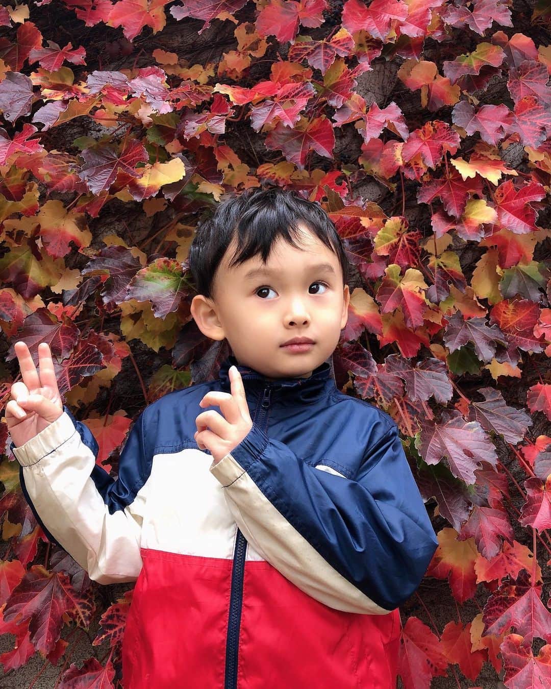 KANAさんのインスタグラム写真 - (KANAInstagram)「美しすぎる 北海道の紅葉🍂✨🍁✨  1週間後が 紅葉の最高に綺麗な時期に なるよ🥰💕  カメラ好きな人は 色んな映像の仕方で最高に楽しめる時期なので 私も色んなところで撮りたくなっちゃう🙊💕📸✨  #家族で紅葉見てきた🍁  #色が変わる❤ #北海道の紅葉 #鳥居 #紅葉 #カメラ女子  #リボン結びできない。。 #映像  #動画編集  #秋服コーデ  #秋服 #ファッション #ポートレート #韓国ファッション」10月24日 17時47分 - kana1862