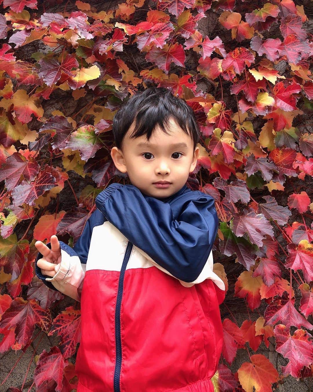 KANAさんのインスタグラム写真 - (KANAInstagram)「美しすぎる 北海道の紅葉🍂✨🍁✨  1週間後が 紅葉の最高に綺麗な時期に なるよ🥰💕  カメラ好きな人は 色んな映像の仕方で最高に楽しめる時期なので 私も色んなところで撮りたくなっちゃう🙊💕📸✨  #家族で紅葉見てきた🍁  #色が変わる❤ #北海道の紅葉 #鳥居 #紅葉 #カメラ女子  #リボン結びできない。。 #映像  #動画編集  #秋服コーデ  #秋服 #ファッション #ポートレート #韓国ファッション」10月24日 17時47分 - kana1862