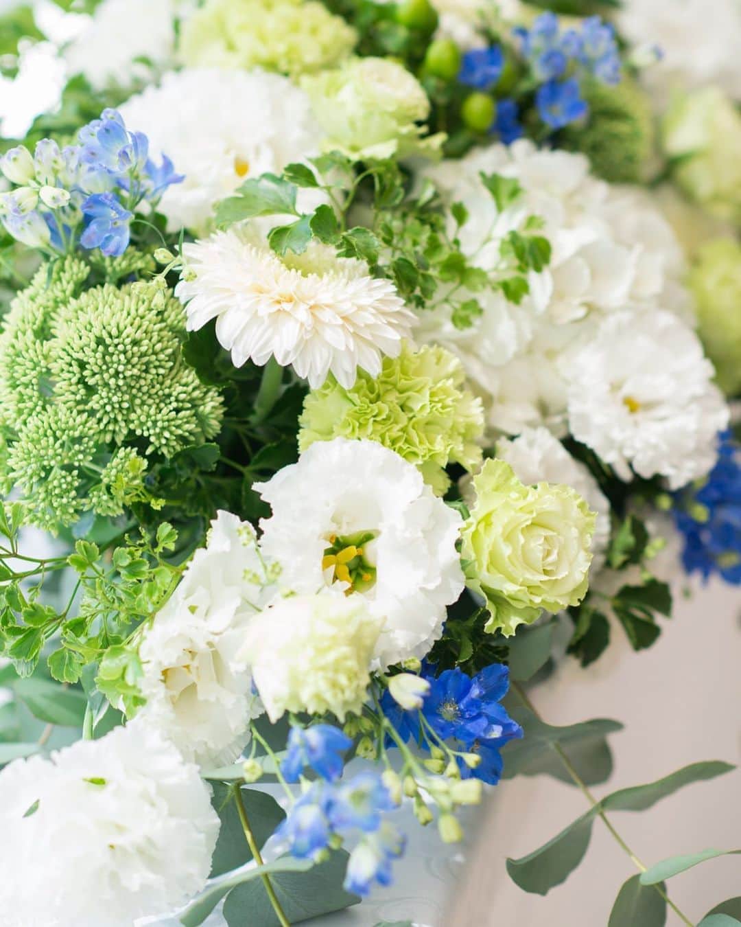 指帆亭のグルメインスタ