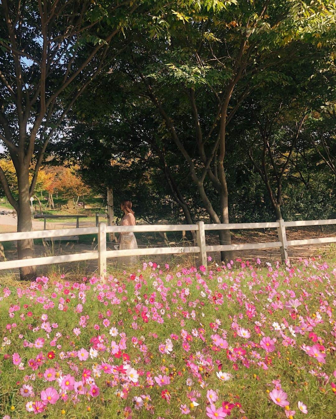 キム・ナヒさんのインスタグラム写真 - (キム・ナヒInstagram)「맑-음 ☀️」10月24日 18時01分 - knhs2