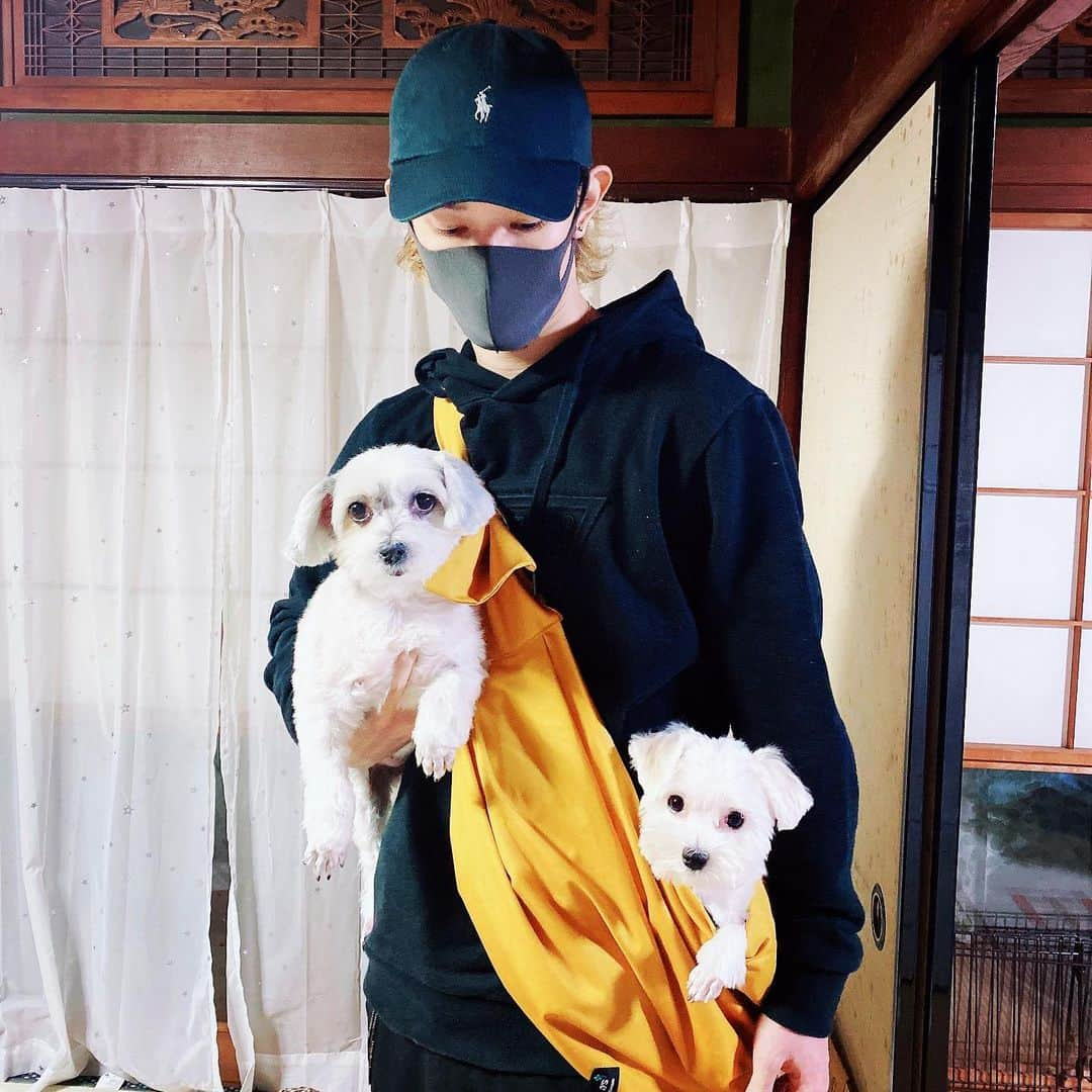 寺島圭亮のインスタグラム：「🐶♡🐶」