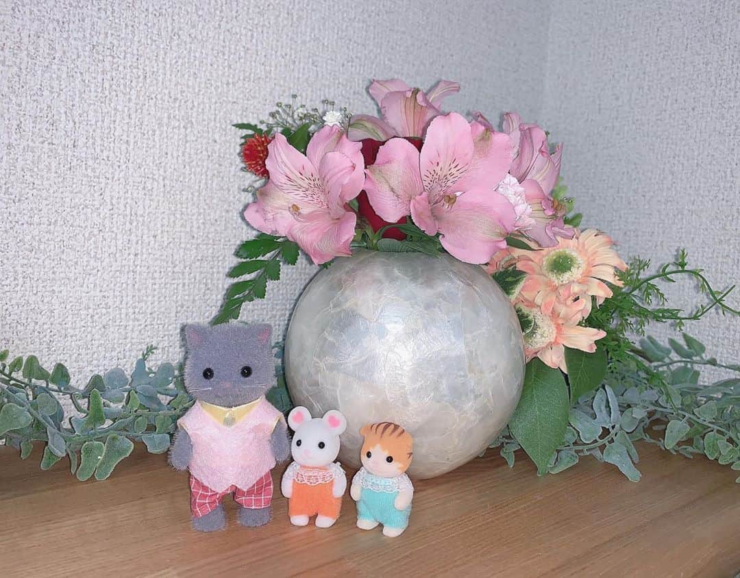 のインスタグラム：「お花を飾りました🐈💐」